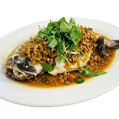 菜圃顺壳 (1)